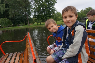 Swan boats