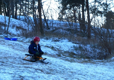 Sledding Leo