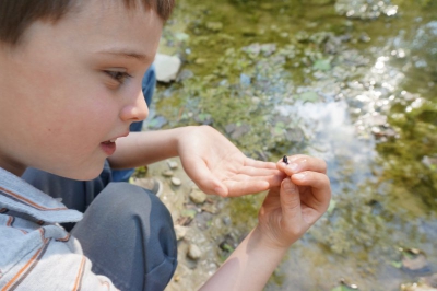 Tadpole