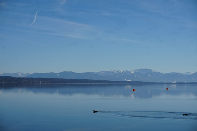 Starnberger See